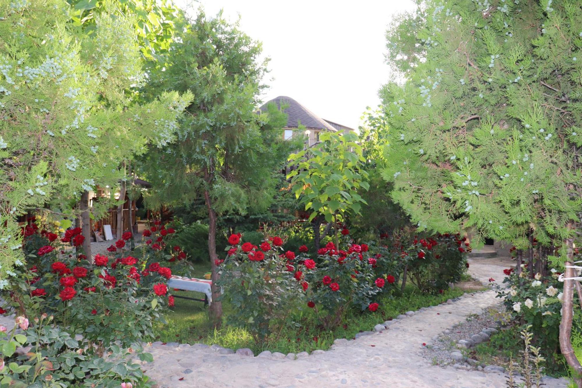 Happy Nomads Yurts & Hostel Karakol Exterior photo