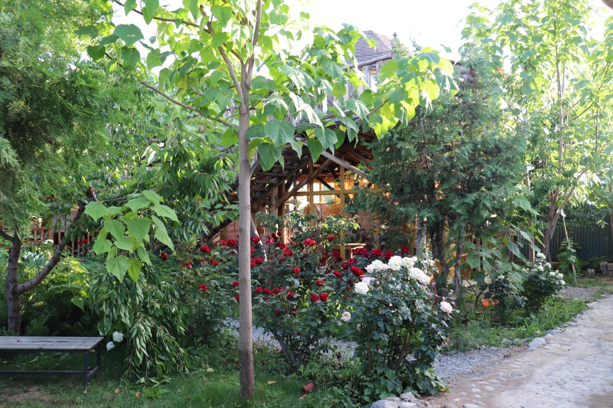 Happy Nomads Yurts & Hostel Karakol Exterior photo