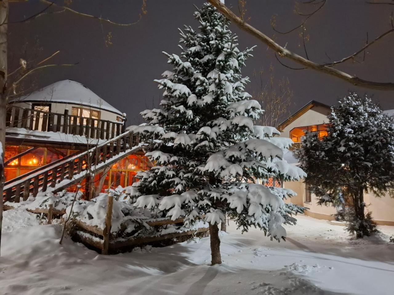 Happy Nomads Yurts & Hostel Karakol Exterior photo