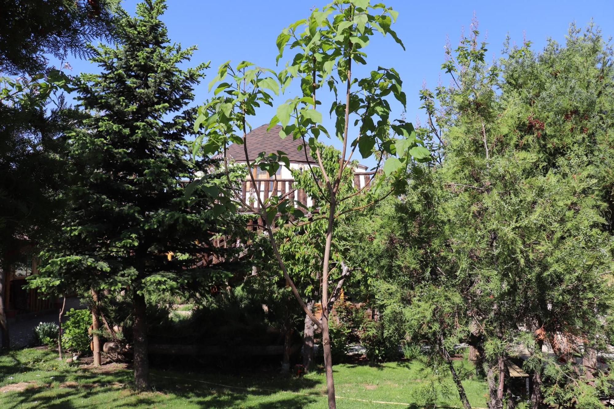 Happy Nomads Yurts & Hostel Karakol Exterior photo
