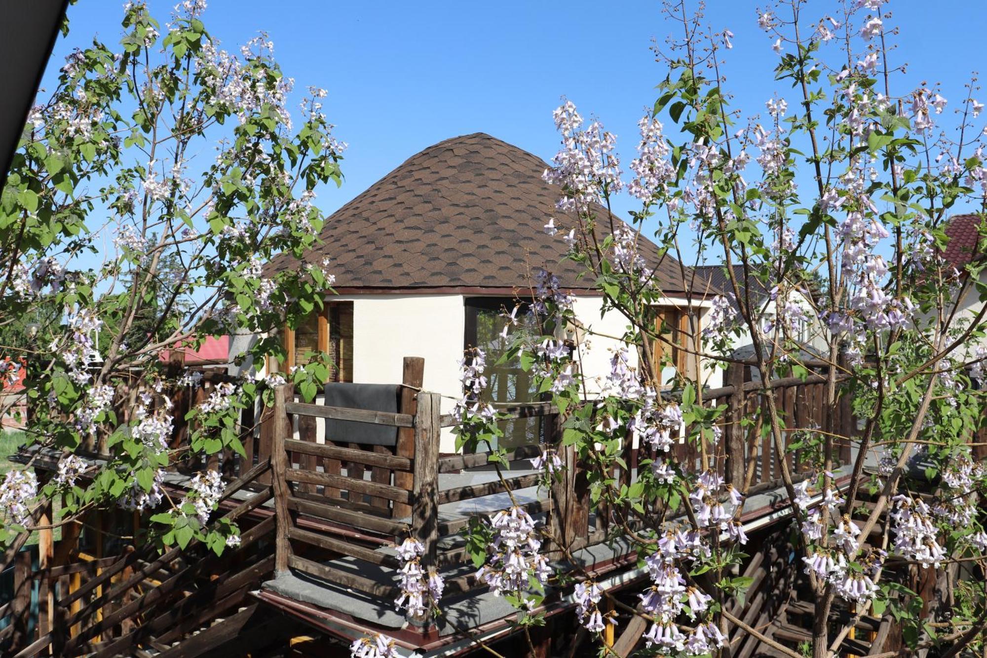 Happy Nomads Yurts & Hostel Karakol Exterior photo